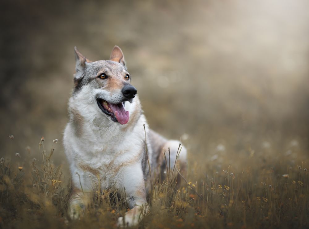 Фотография автора Ana Sánchez