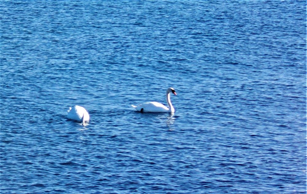 Photograph by José Luis Mendoza Machado