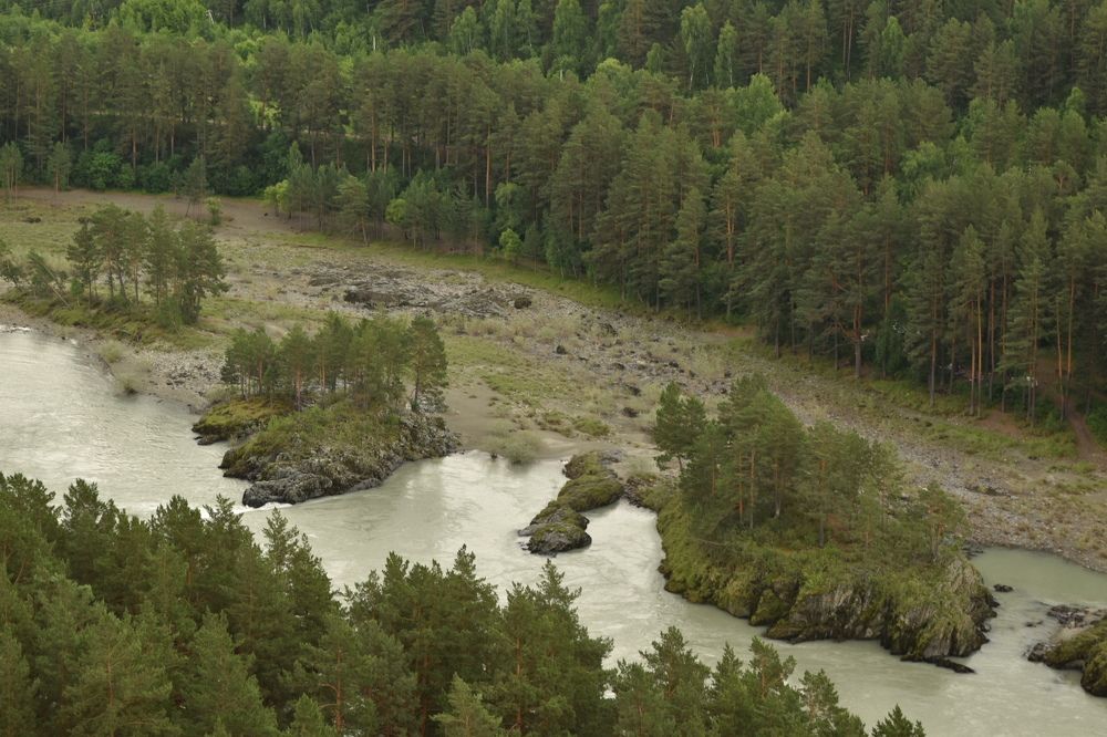 Фотография автора Евгения Гунина