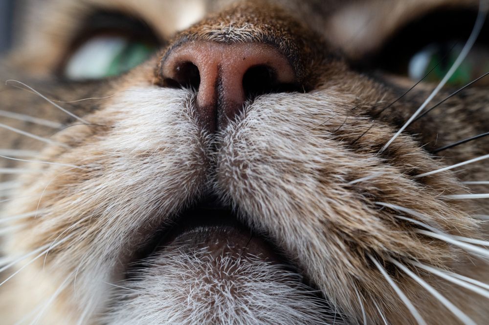 Photograph by Светлана Лебедева