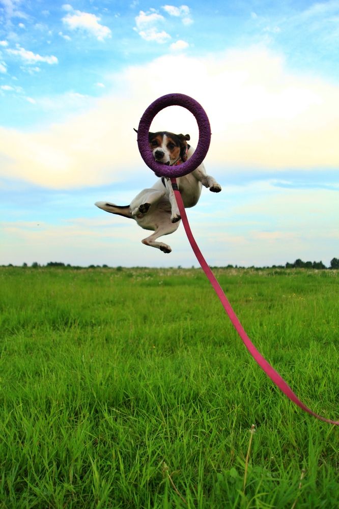 Photograph by AVDEEV NIKOLAY