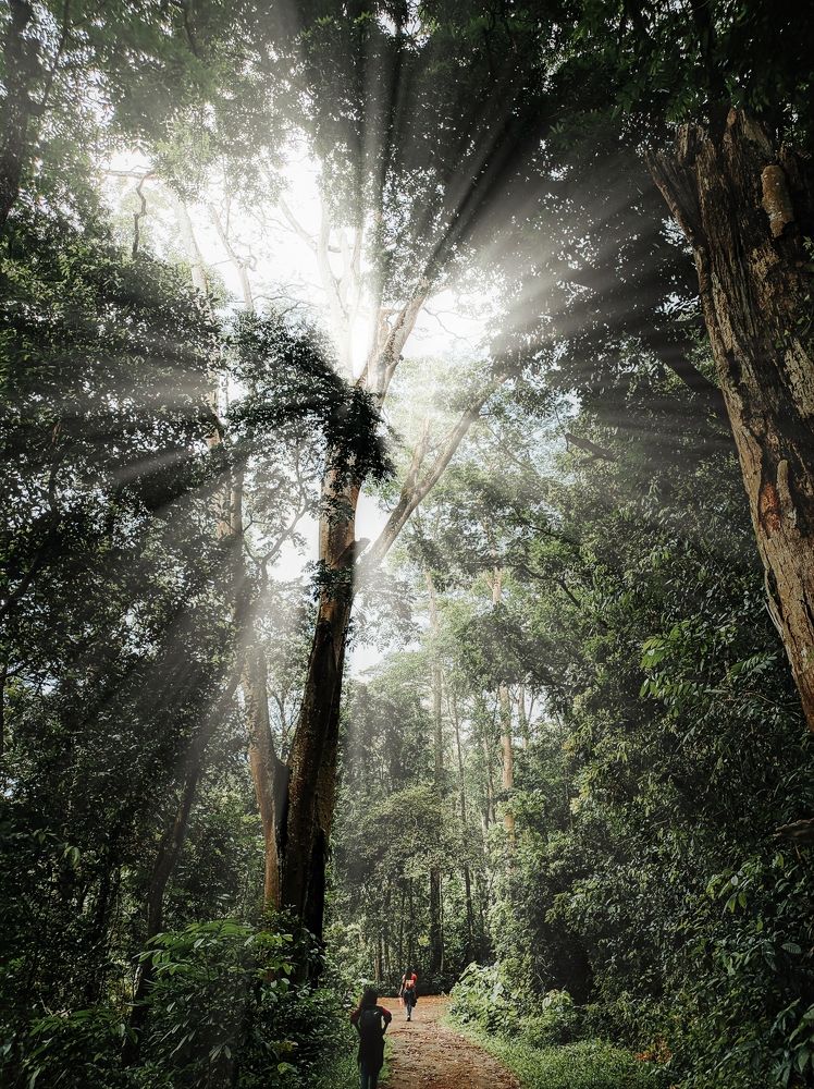 Photograph by Milinda Ashan Rajapaksha