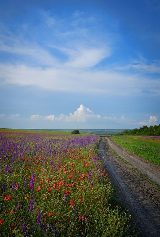 Photograph by Екатерина Гордеева