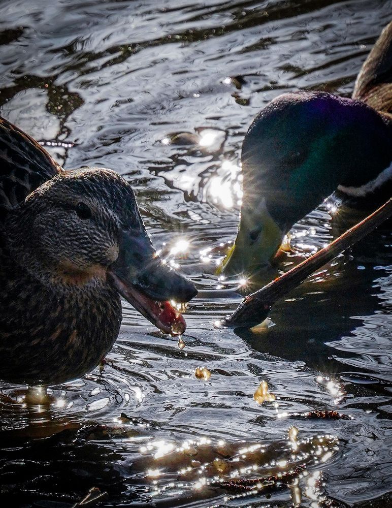 Photograph by Артем Зыкин