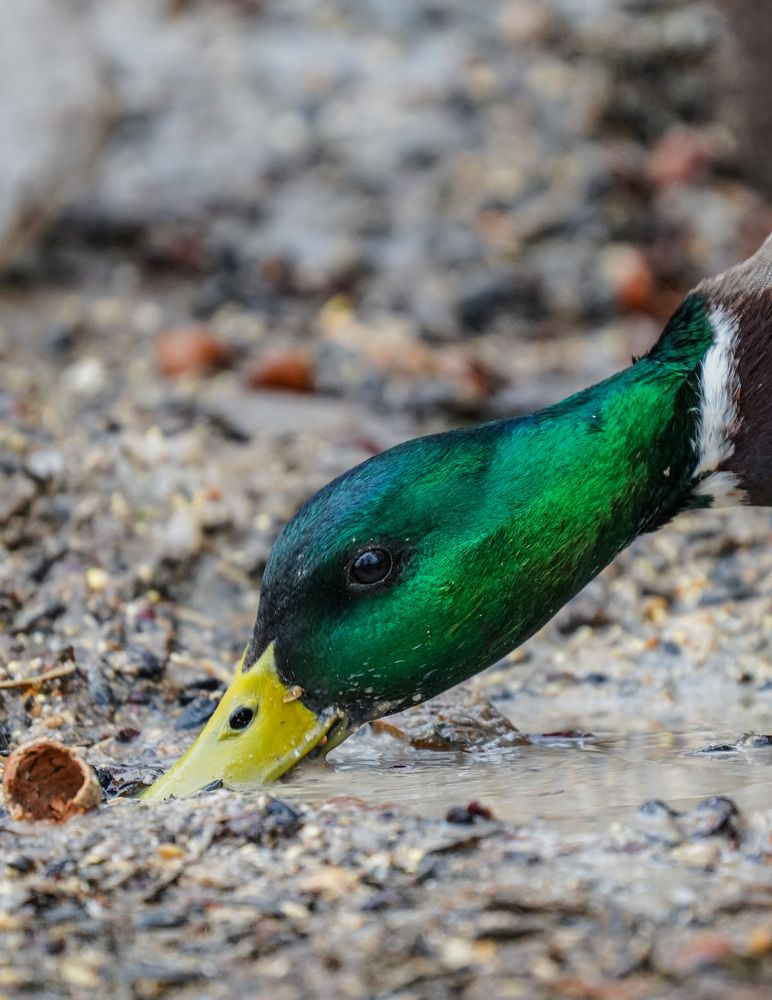 Photograph by Артем Зыкин