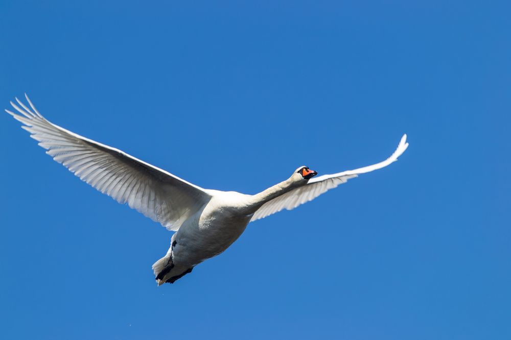 Photograph by Владимир Желтов