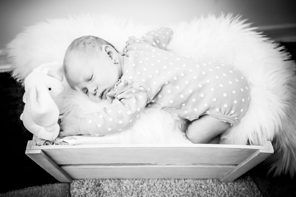 Photograph by Vlad-Ionut Tinc