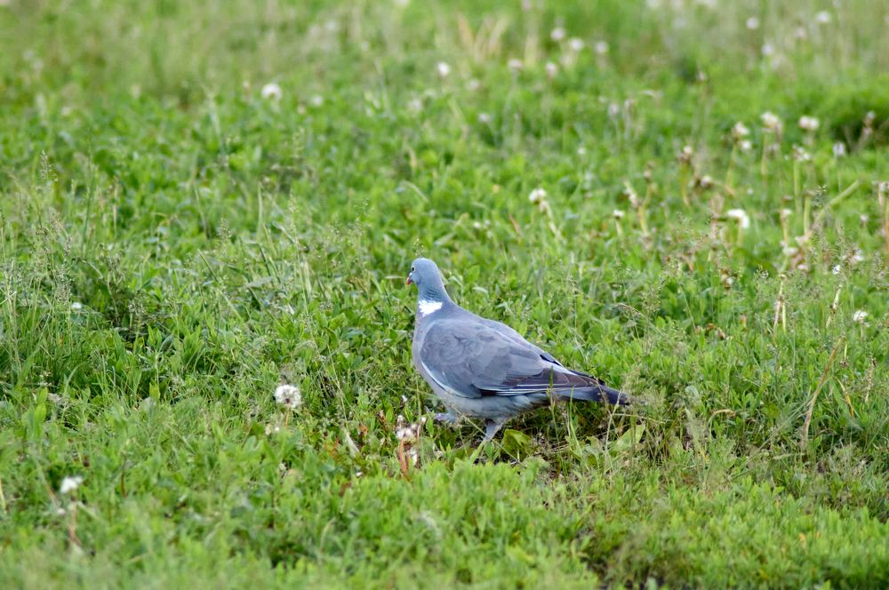 Photograph by Igor Kochkin