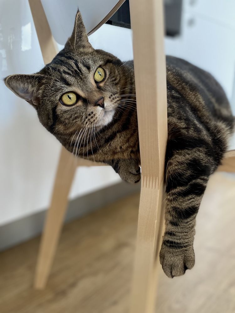 Photograph by Марина Танаева