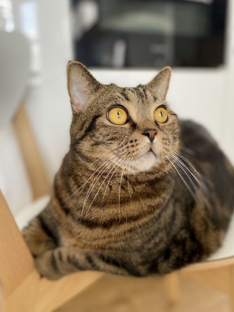 Photograph by Марина Танаева