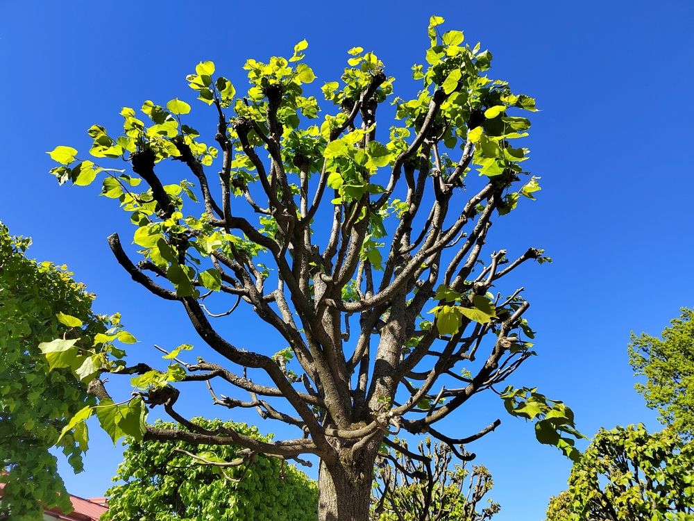 Фотография автора Евгения Гунина