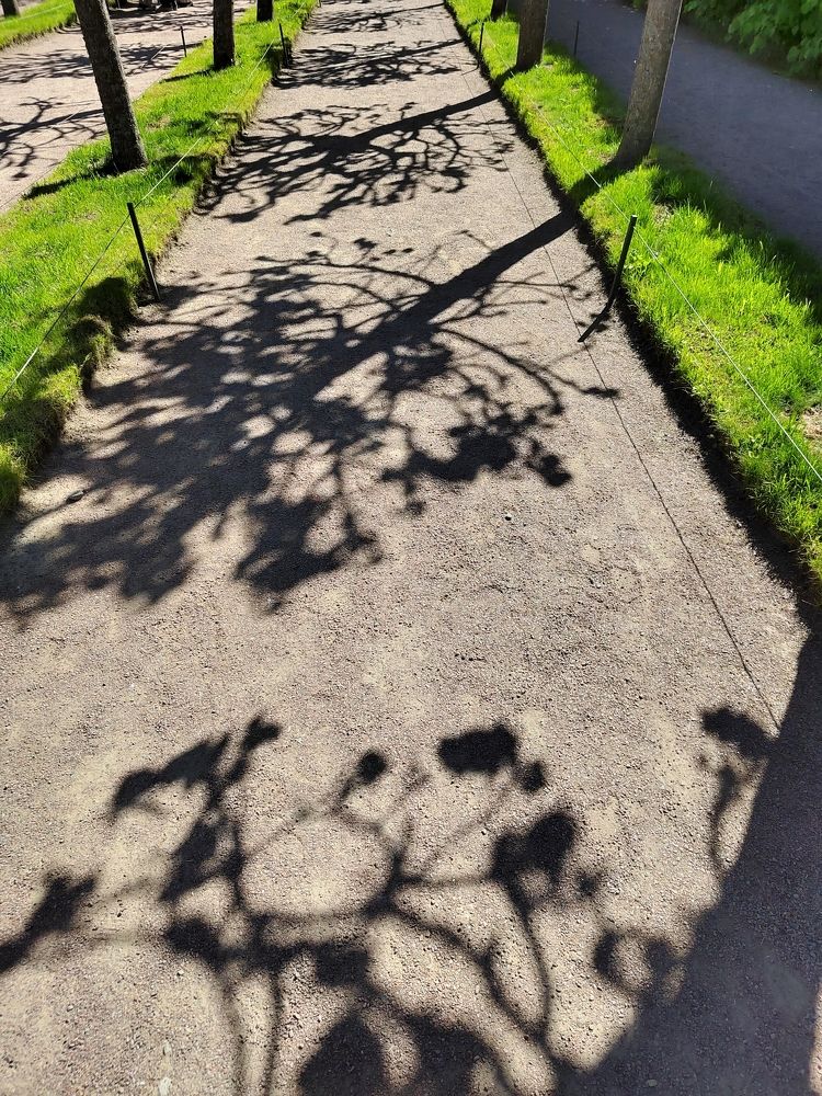 Фотография автора Евгения Гунина