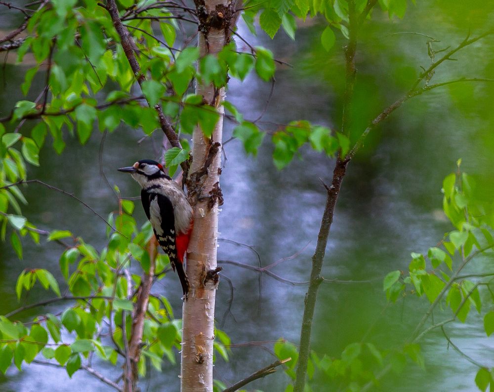 Photograph by Александр Бакин