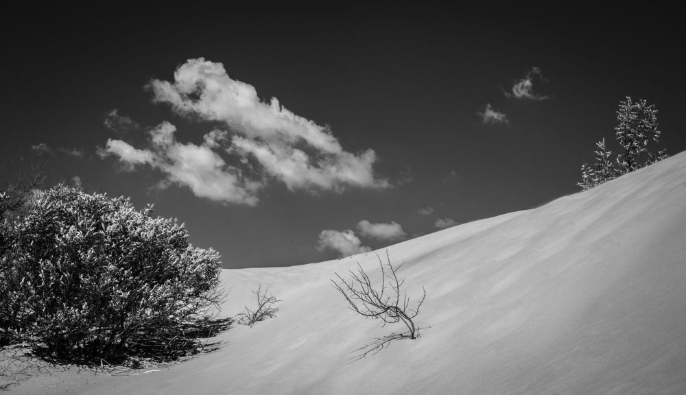 Photograph by Виктор Черкасов