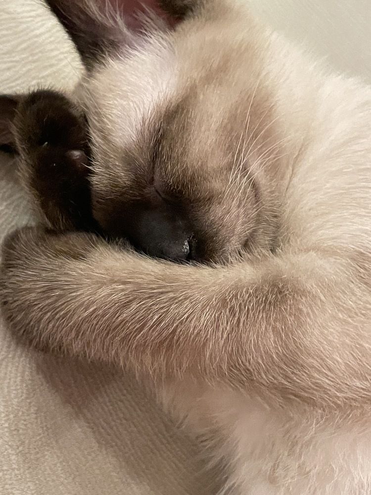 Photograph by Татьяна Беркович