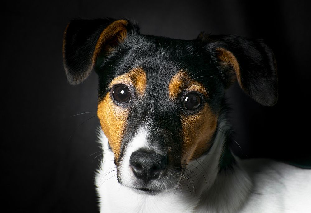 Фотография автора Василев Теодор