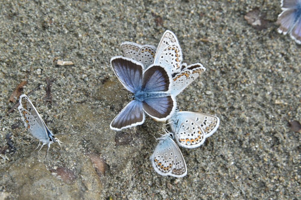 Фотография автора Евгения Гунина