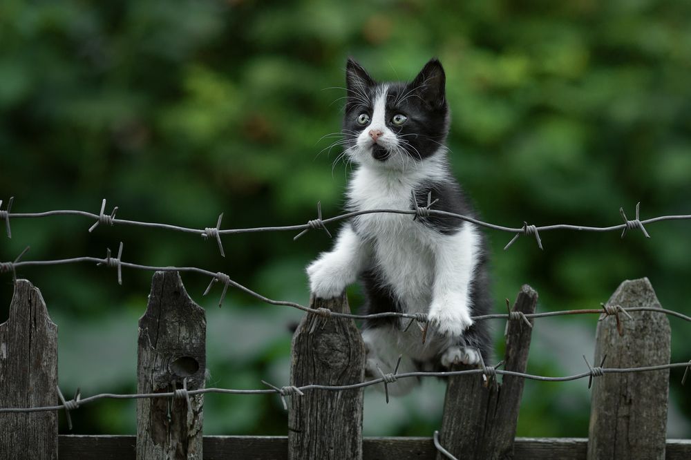 Photograph by Коротун Юрий