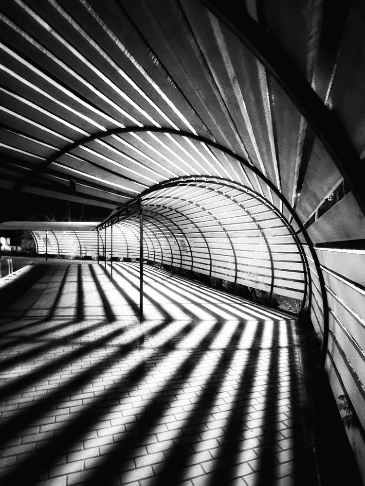 Photograph by Ирина Куренкова