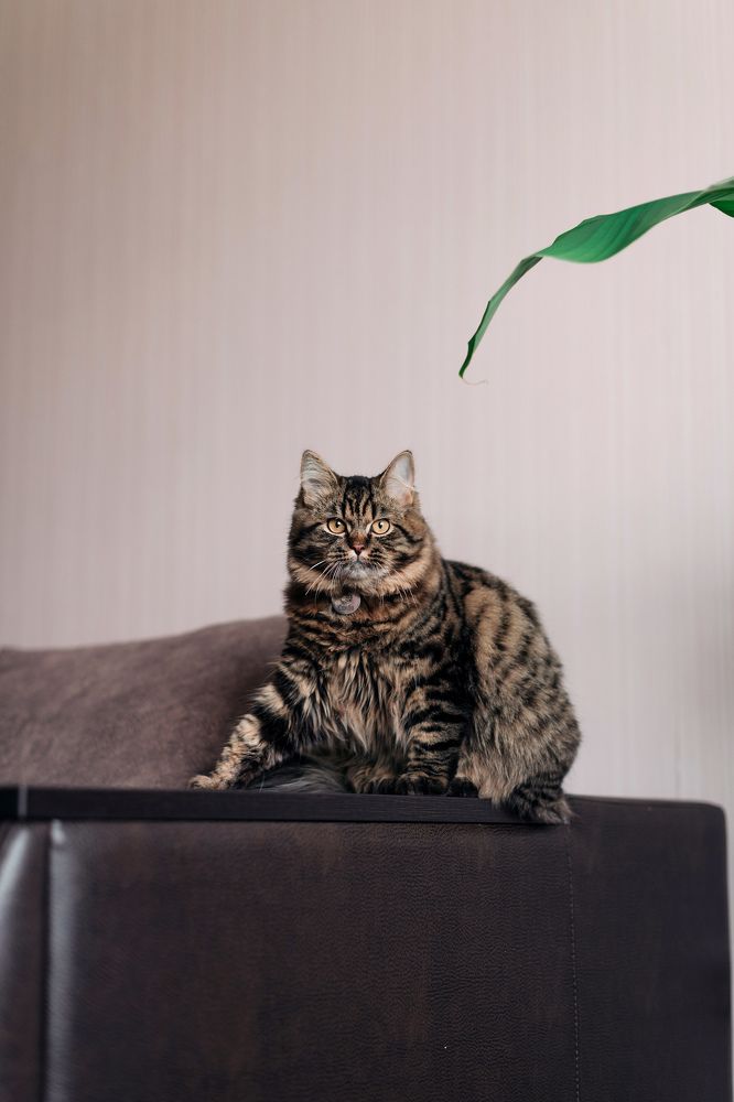 Photograph by Дарья Гомза