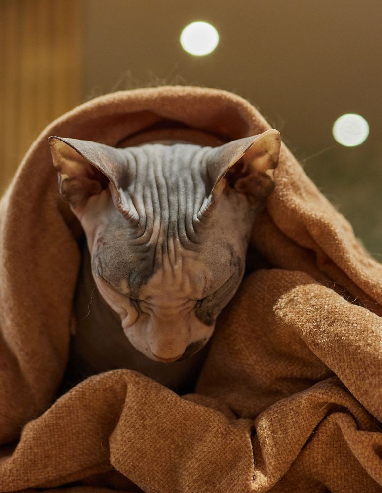 Фотография автора Александра Янчуковская