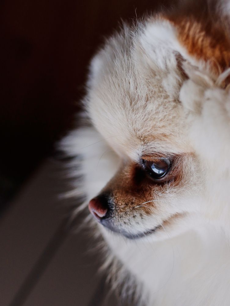 Фотография автора Александра Янчуковская