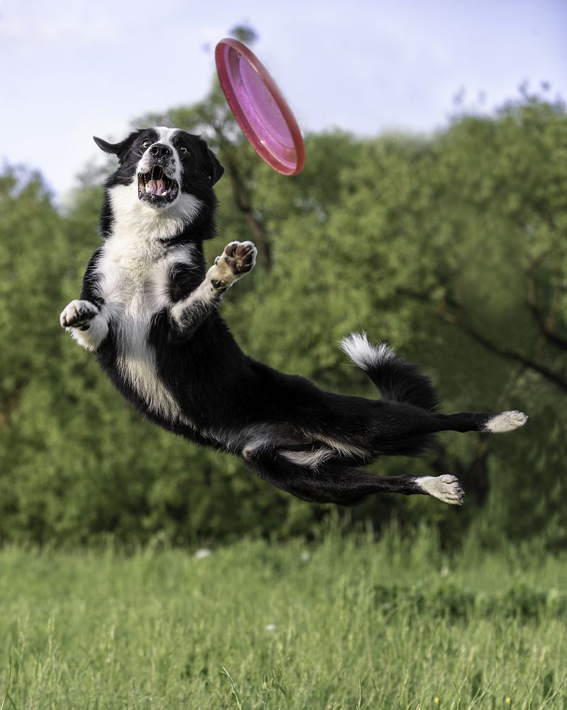 Photograph by Спесивцева Эльмира