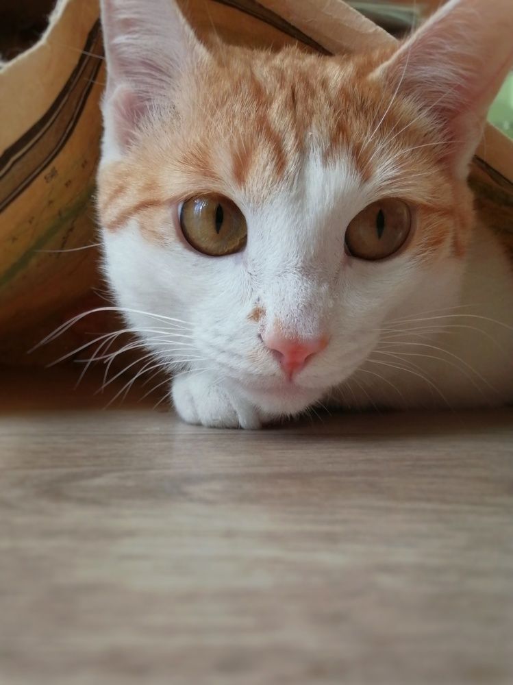 Photograph by Ольга Мокрова