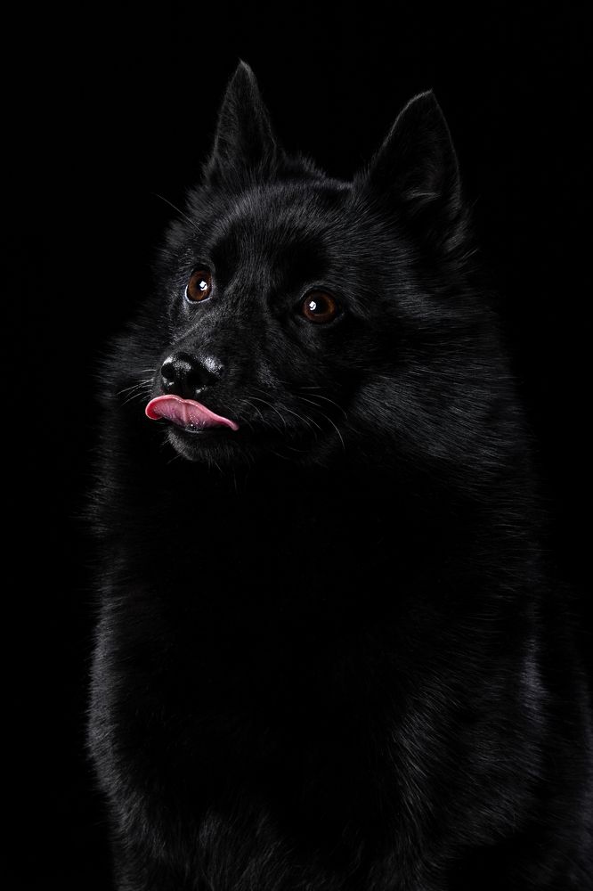 Photograph by Спесивцева Эльмира