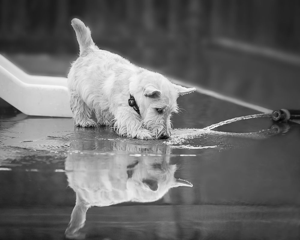 Photograph by Спесивцева Эльмира