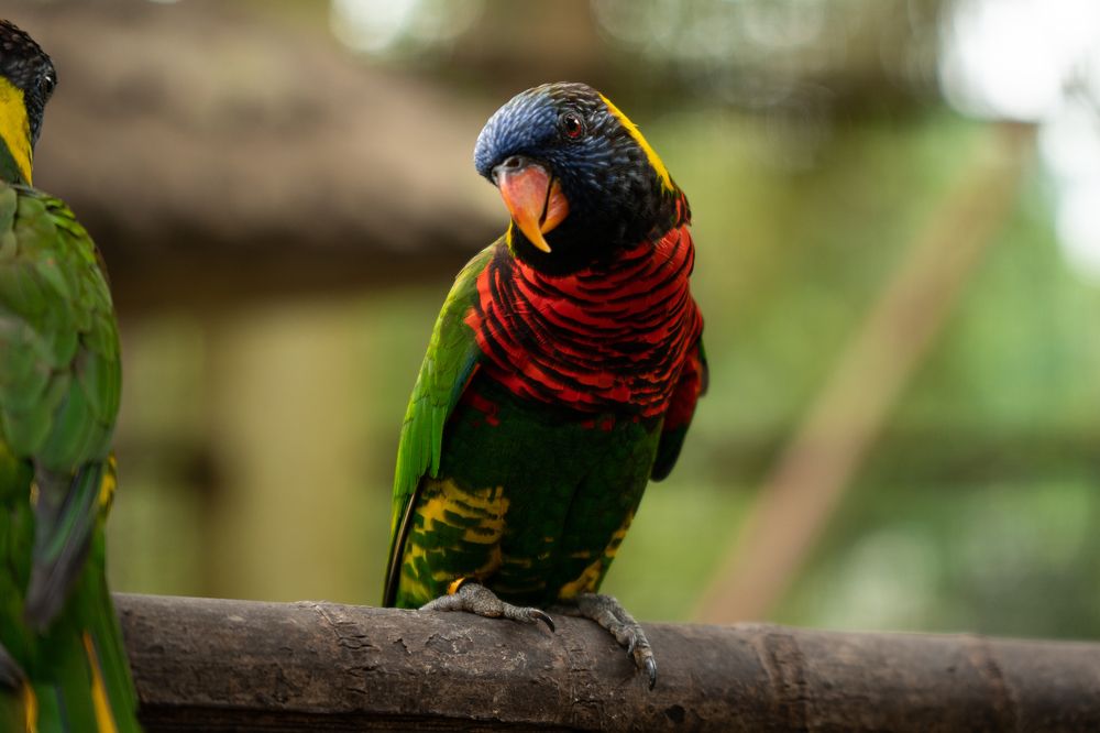 Photograph by Haziq Saufian