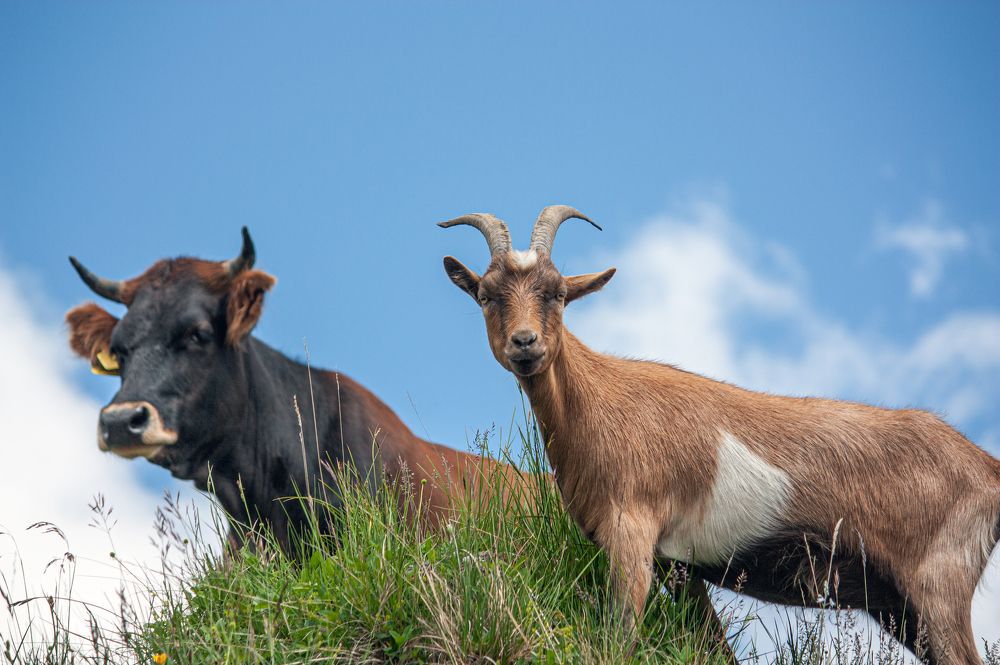 Photograph by Сергей Христинич