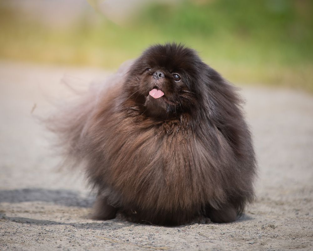 Photograph by Спесивцева Эльмира