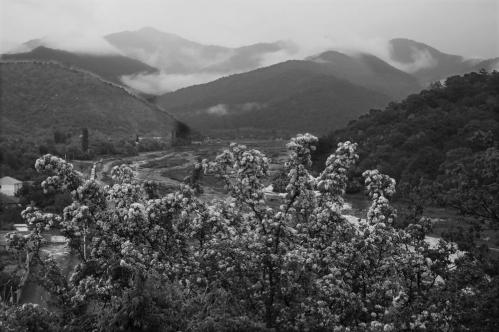 Photograph by Айдын Мехтиев