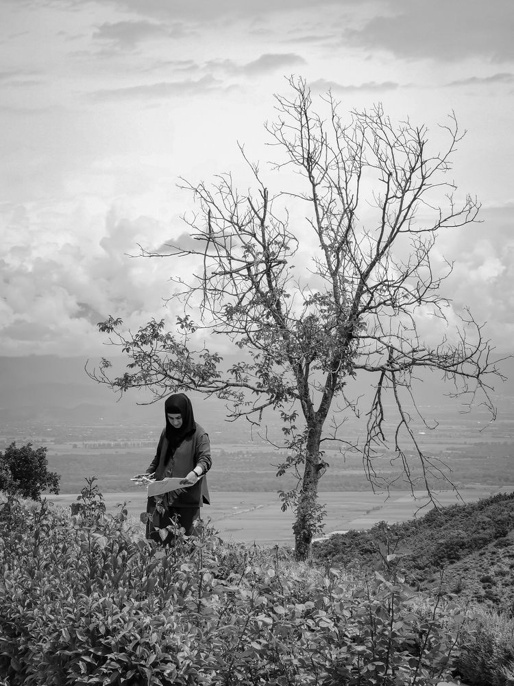 Фотография автора Дмитрий Лебедь