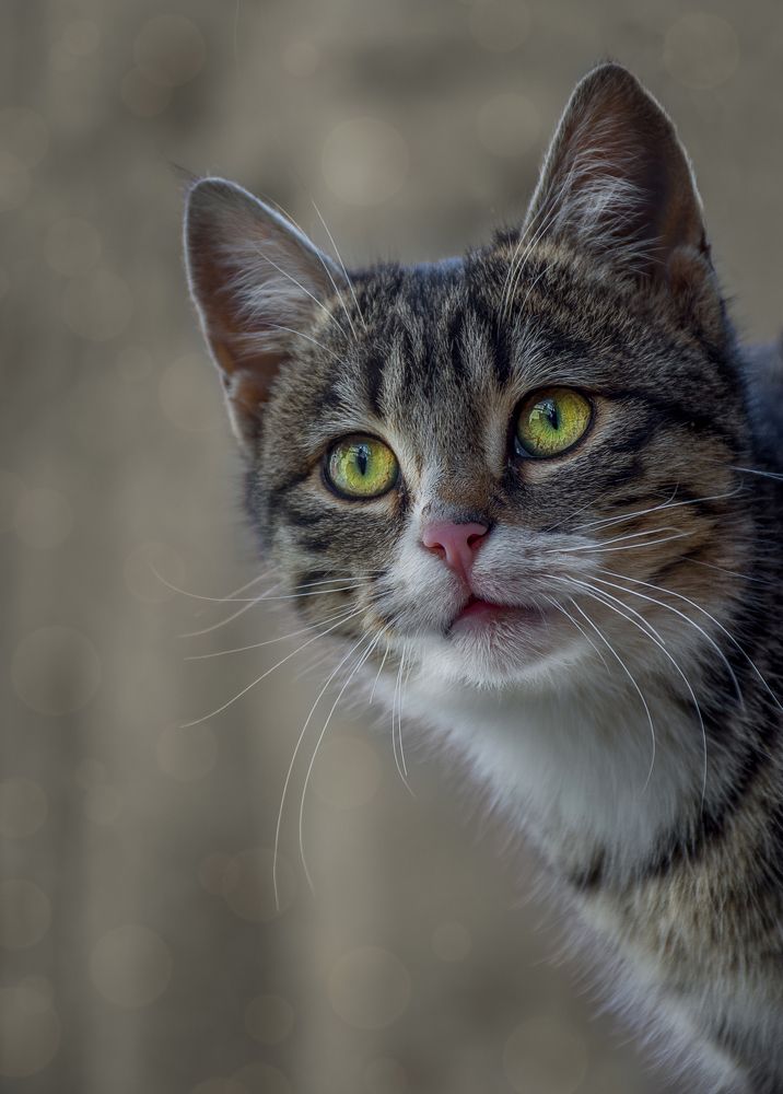 Photograph by Mehdi Zavvar