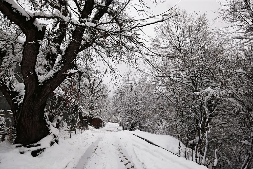 Photograph by Айдын Мехтиев