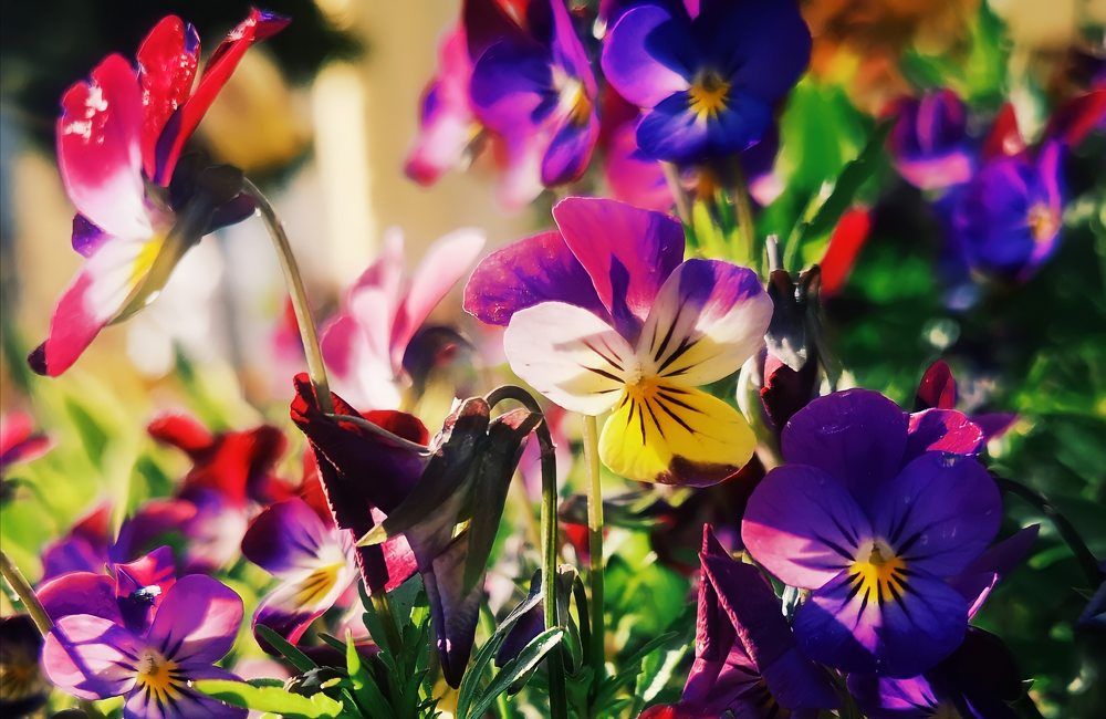 Photograph by Татьяна Чернышова