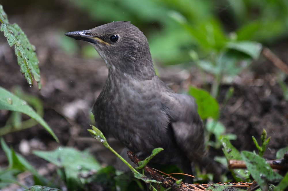 Photograph by Ольга Мокрова