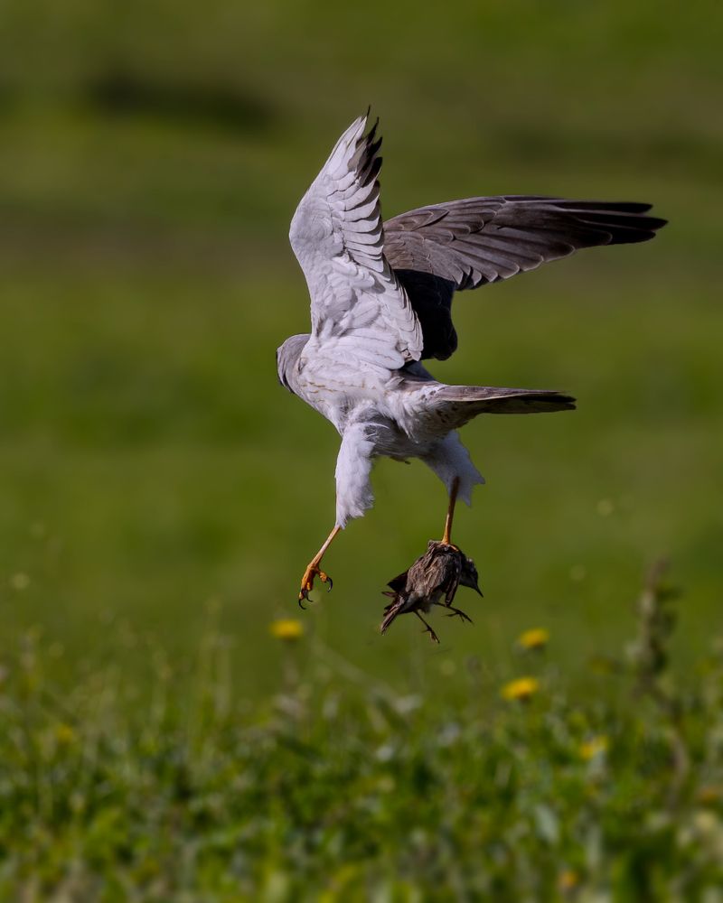 Photograph by Seeja Sadath