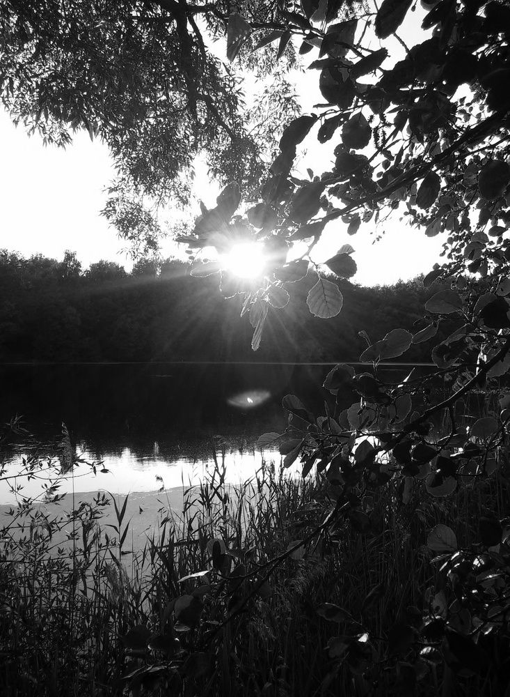 Photograph by Юлия Алексеевна