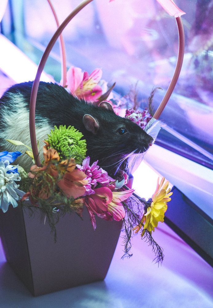 Photograph by Екатерина Свириденко