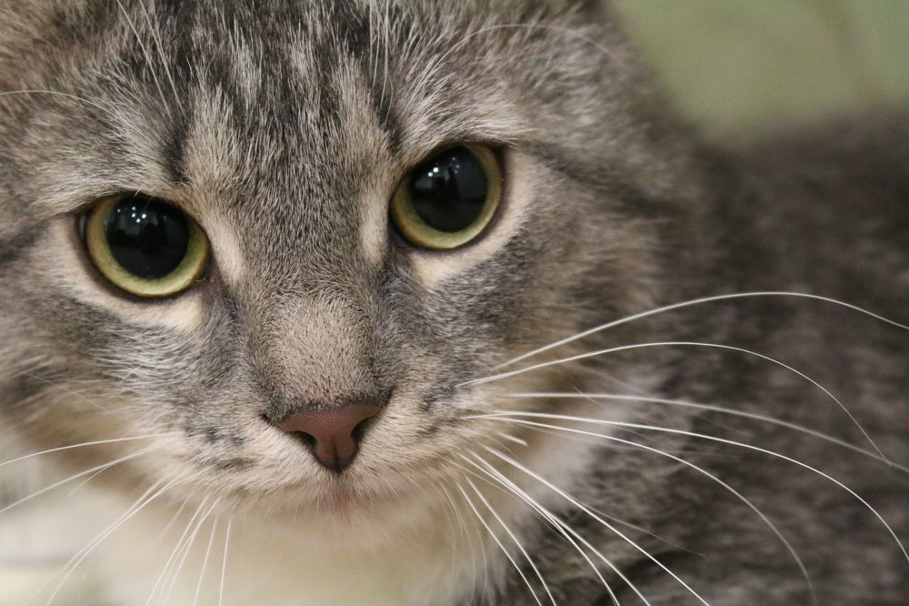 Photograph by Софья