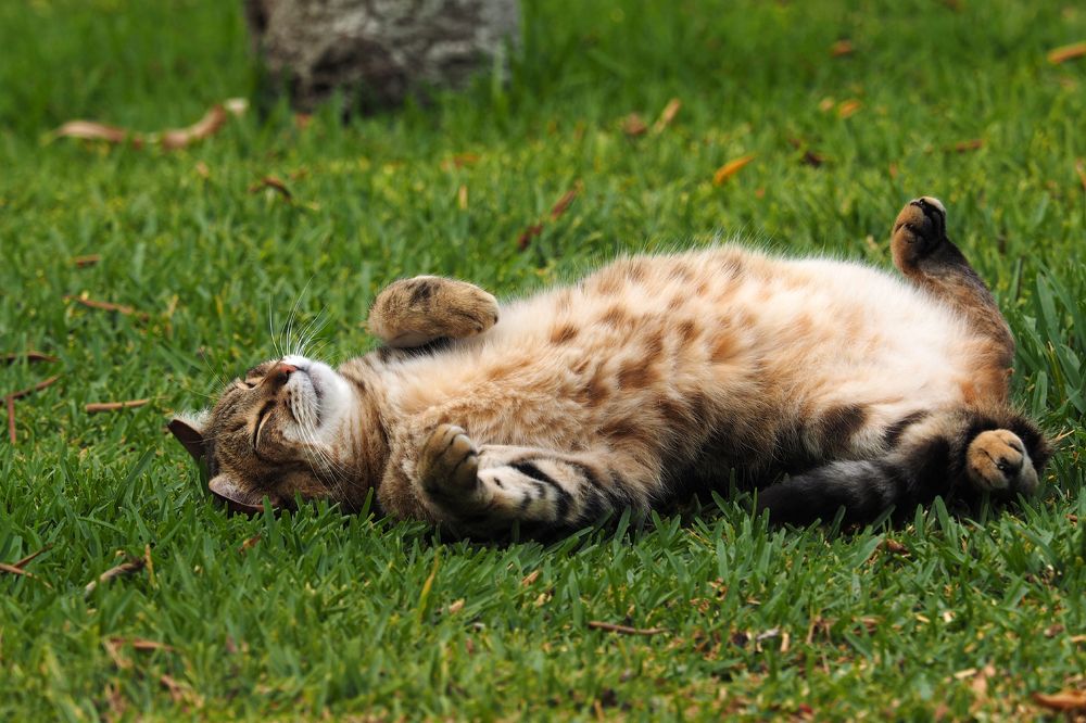 Photograph by Андрей Румянцев