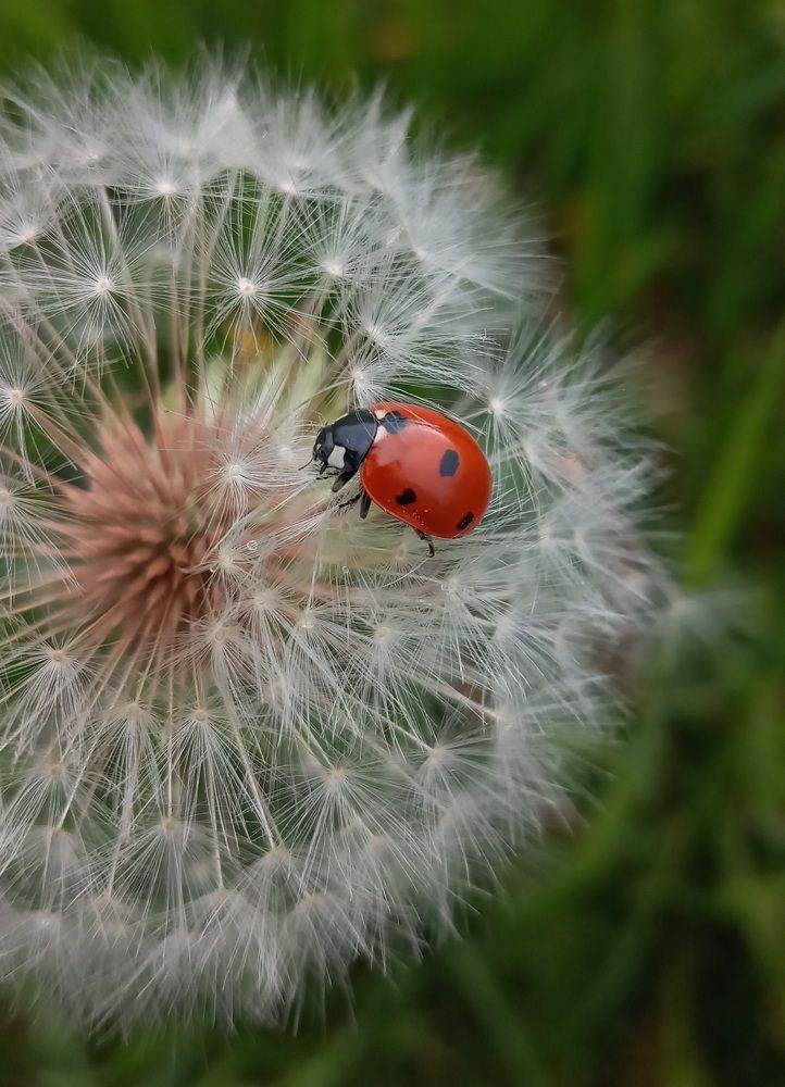 Photograph by Roghayeh Dannandeh