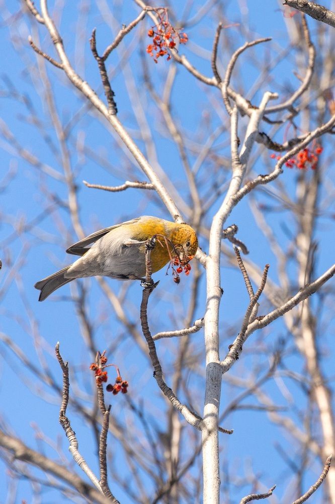 Photograph by Оксана Кузнецова