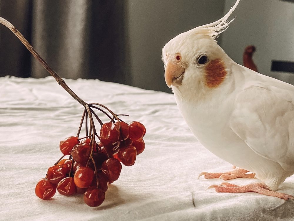 Photograph by Анастасия Денисенко