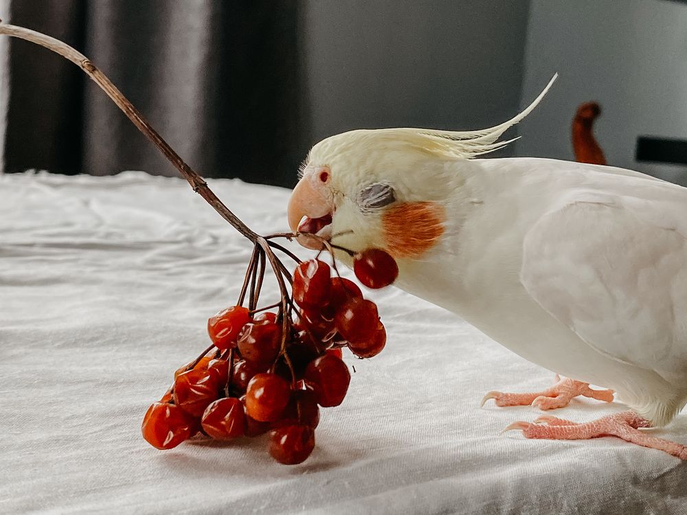 Photograph by Анастасия Денисенко