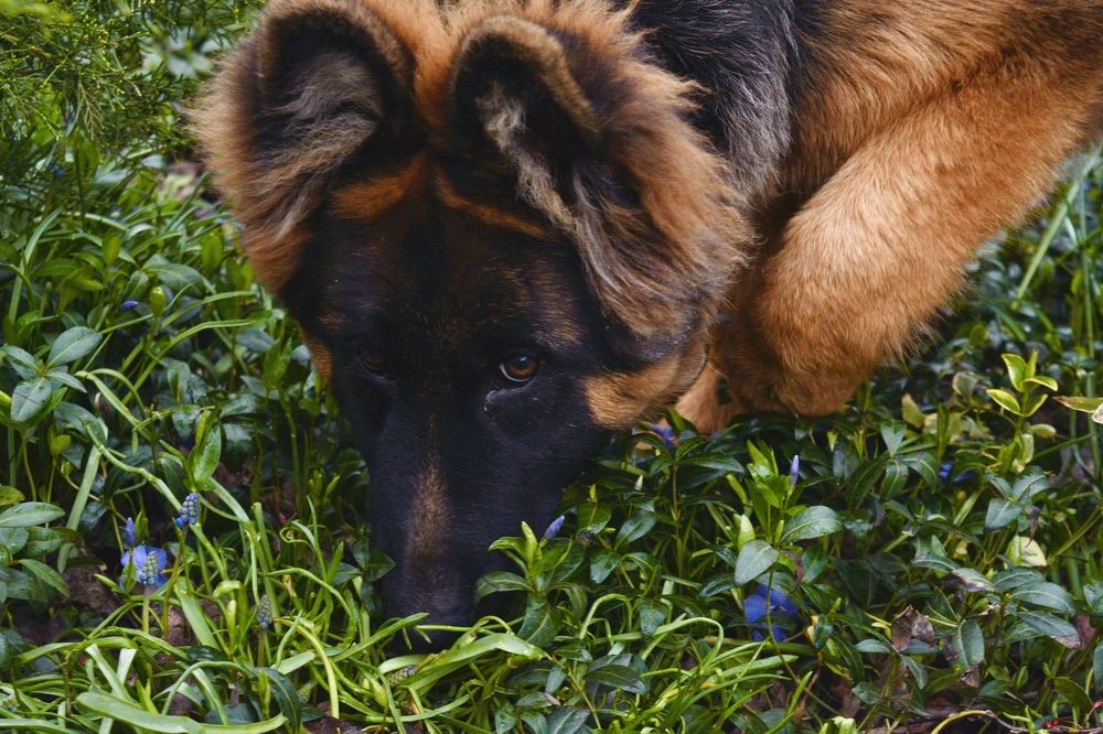 Photograph by Анастасия Денисенко