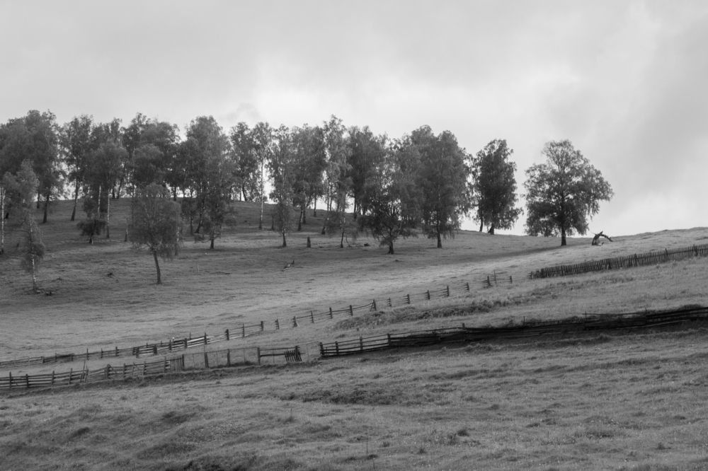 Photograph by Natalia Shilova